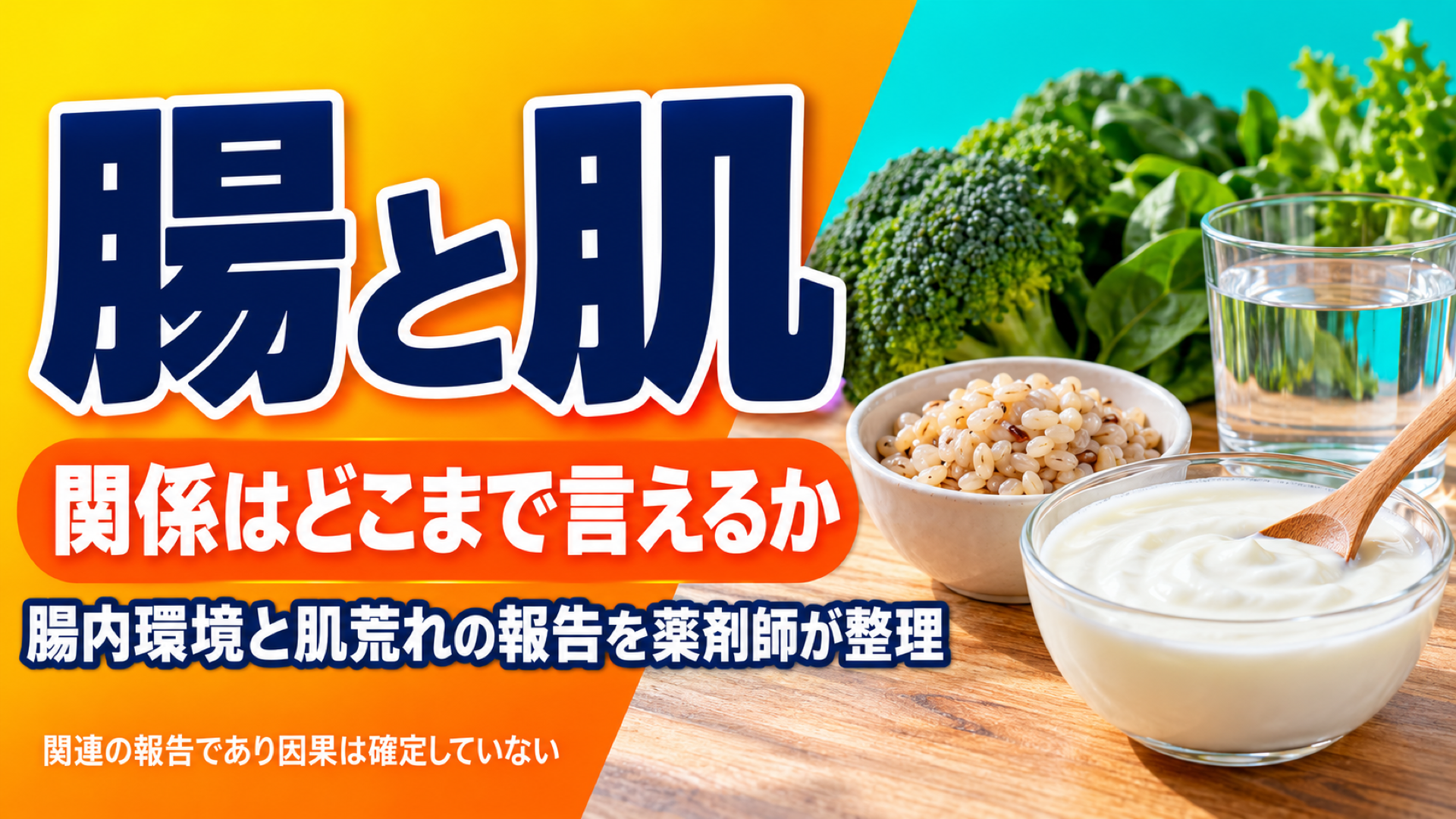 腸内環境と肌荒れの関係|薬剤師が「腸から肌」を整理する