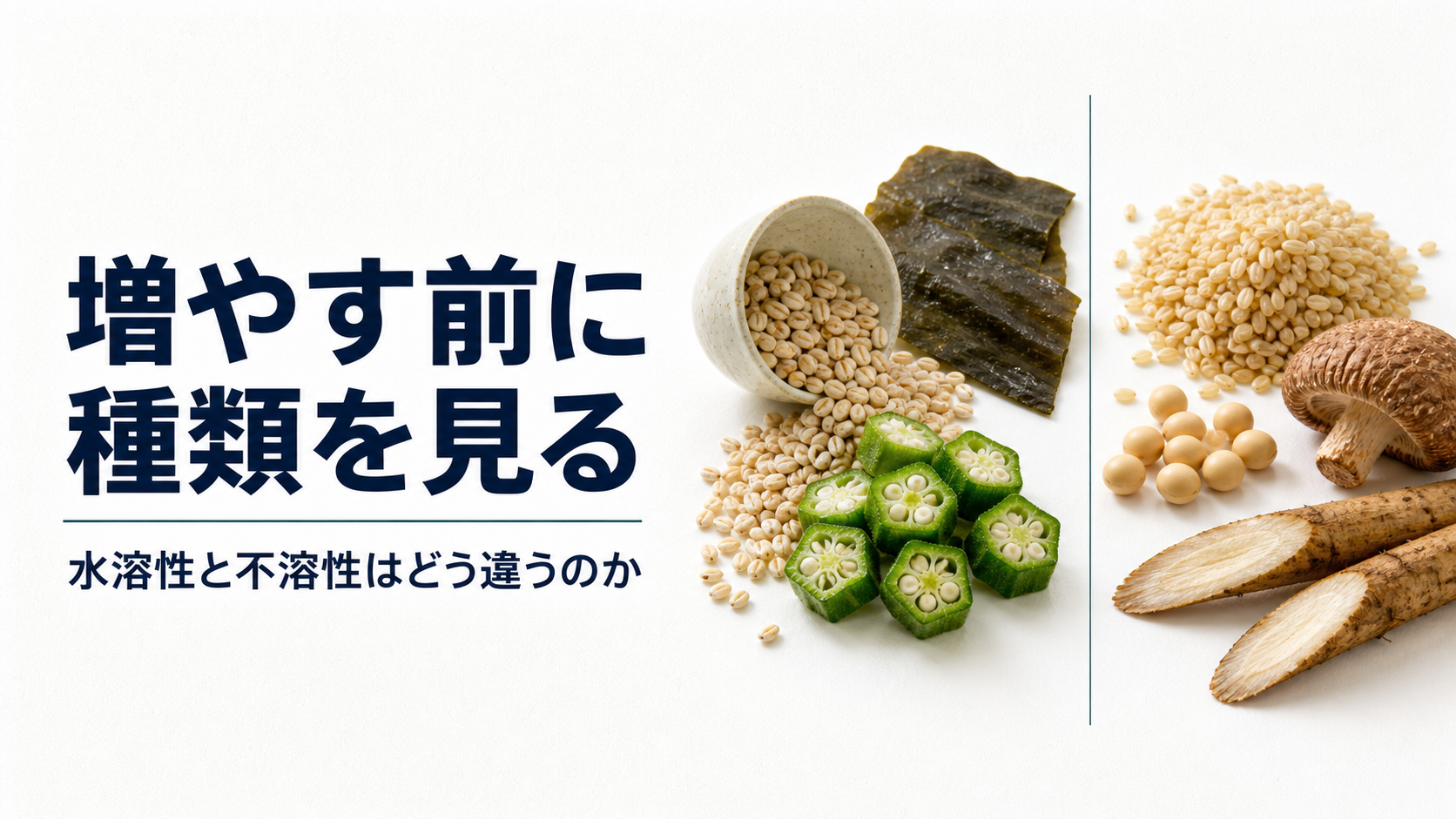 水溶性と不溶性の食物繊維はどう違うか｜薬剤師が使い分けを整理