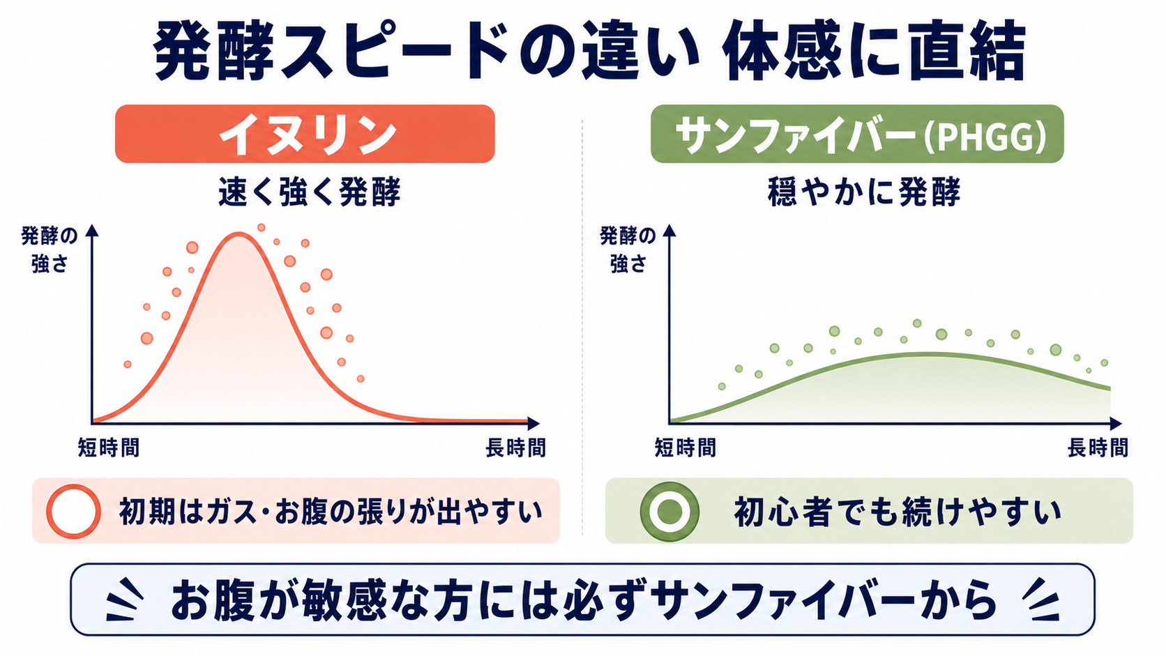 イヌリンとサンファイバーの発酵スピード比較イラスト