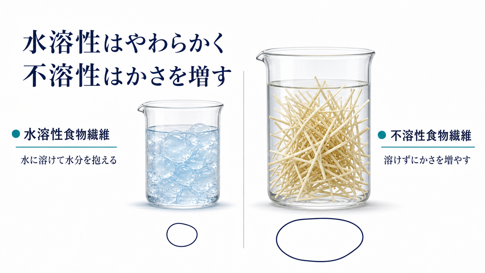 水溶性食物繊維と不溶性食物繊維の働きの違いを示した図解