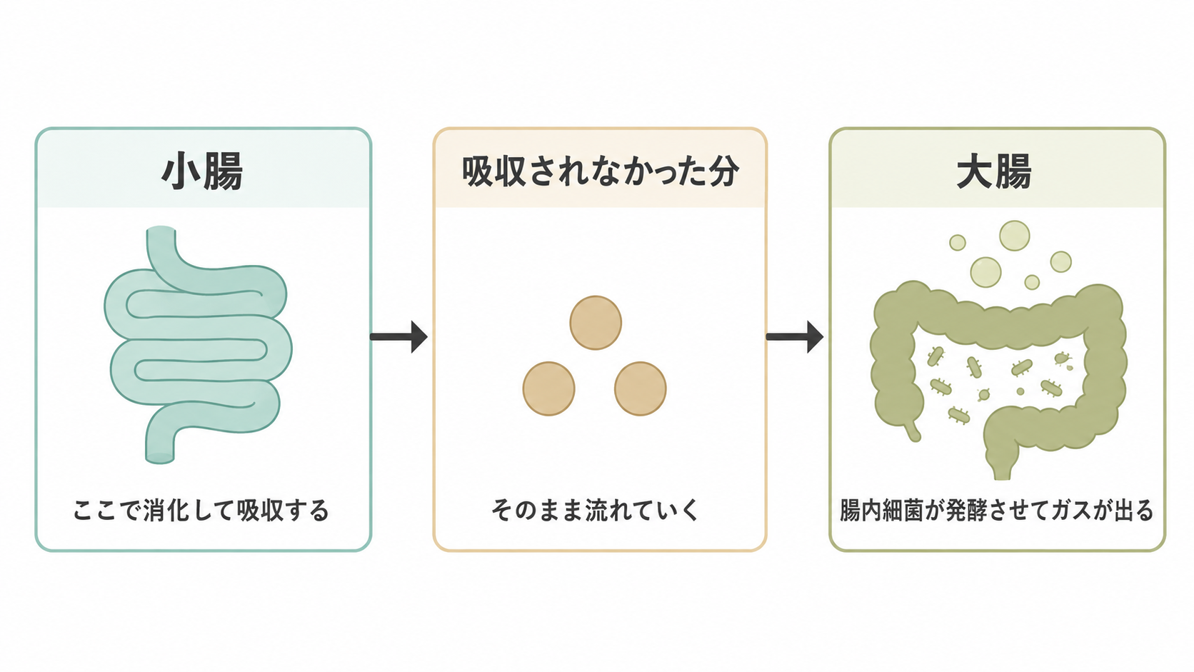小腸で吸収されなかった成分が大腸で発酵しガスになる仕組みの図解
